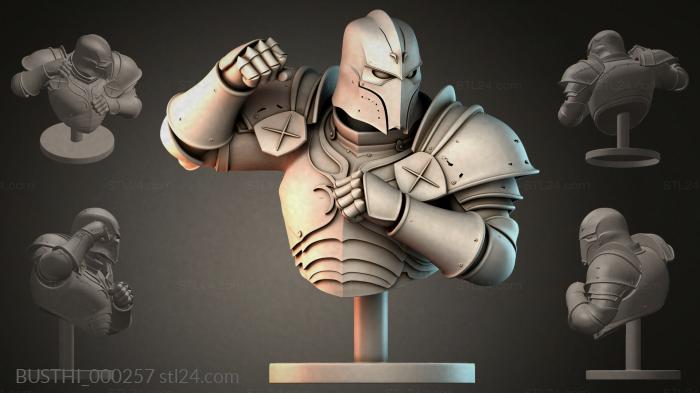 BUSTHI_000257 3d STL model
