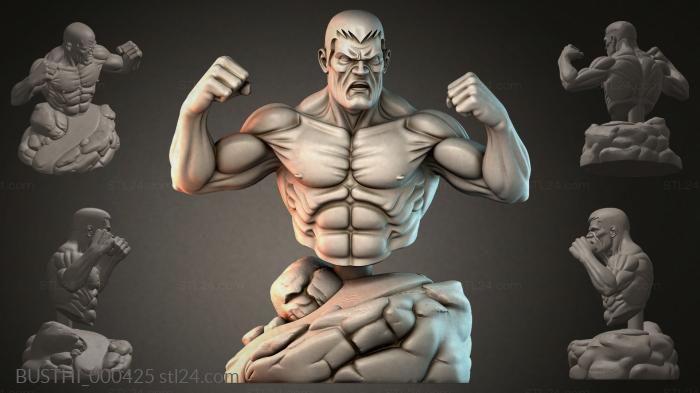 Бюсты монстры (BUSTHI_000425) 3D модель для ЧПУ станка