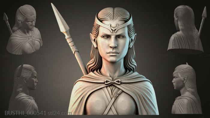 BUSTHI_000541 3d STL model