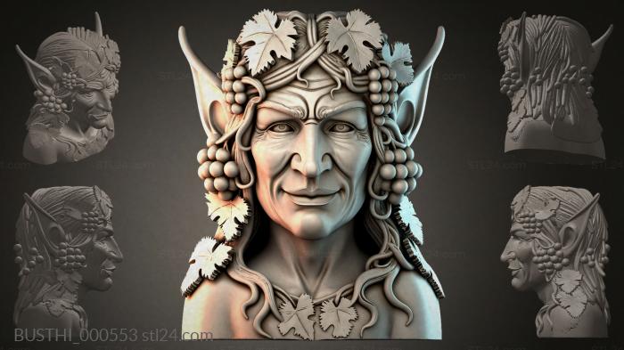 Бюсты монстры (BUSTHI_000553) 3D модель для ЧПУ станка