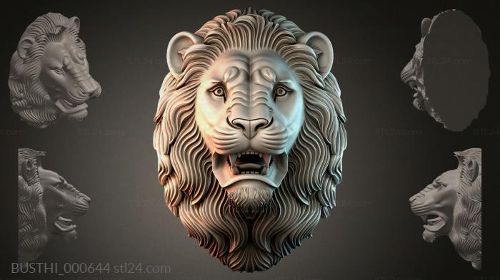 BUSTHI_000644