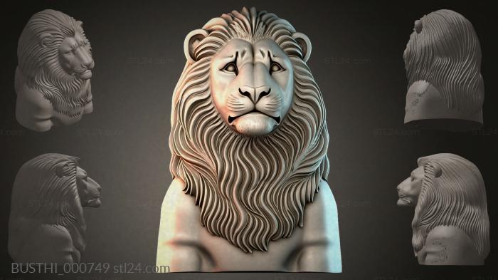 BUSTHI_000749 3d STL model