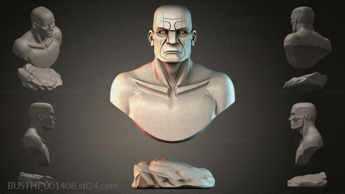 BUSTHI_001408 3d STL model