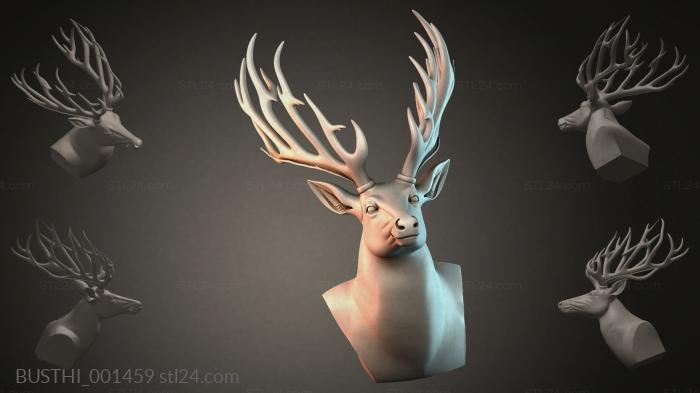BUSTHI_001459 3d STL model