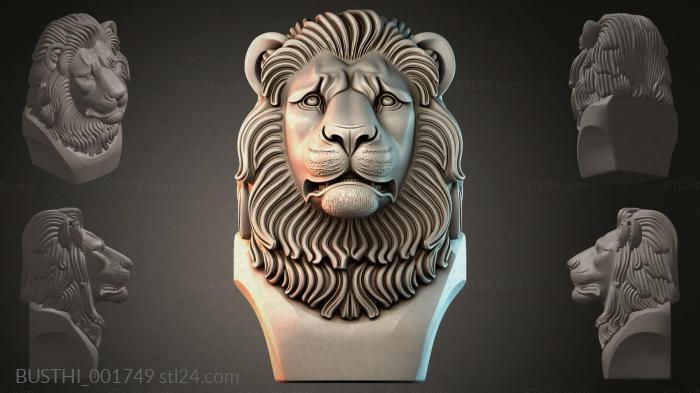BUSTHI_001749 3d STL model