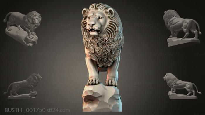 BUSTHI_001750 3d STL model
