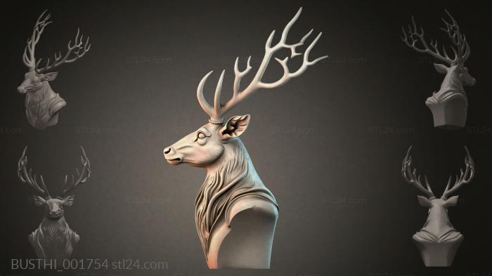 BUSTHI_001754 3d STL model