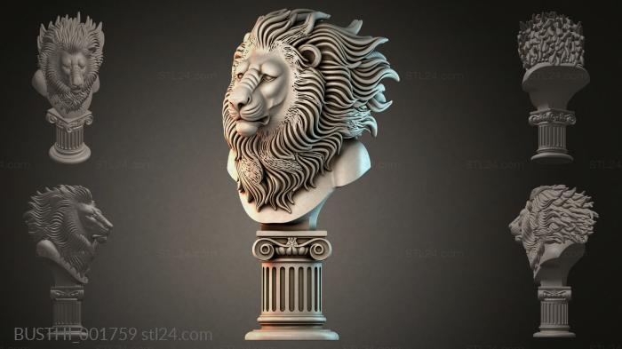 BUSTHI_001759 3d STL model