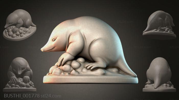 BUSTHI_001778 3d STL model