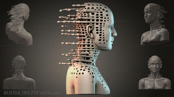 BUSTHI_001779 3d STL model