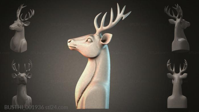 BUSTHI_001936 3d STL model