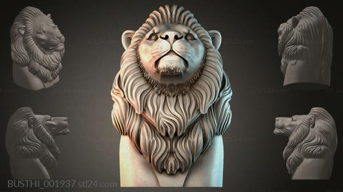 BUSTHI_001937 3d STL model
