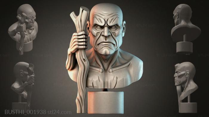 BUSTHI_001938 3d STL model