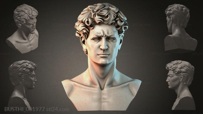 BUSTHI_001977 3d STL model
