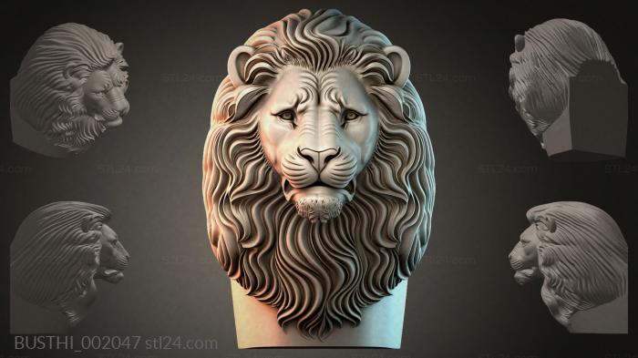 BUSTHI_002047 3d STL model