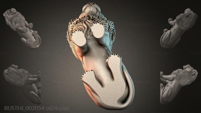 BUSTHI_002054 3d STL model