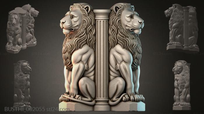 BUSTHI_002055 3d STL model