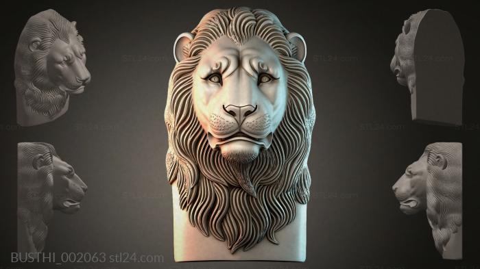 BUSTHI_002063 3d STL model