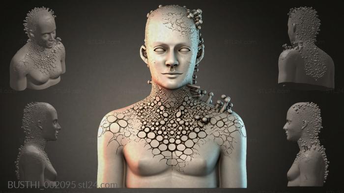 BUSTHI_002095 3d STL model