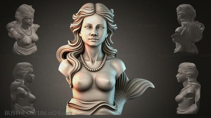 BUSTHI_002186 3d STL model