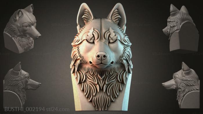 BUSTHI_002194 3d STL model