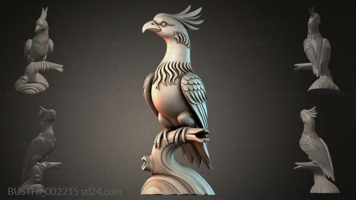 BUSTHI_002215