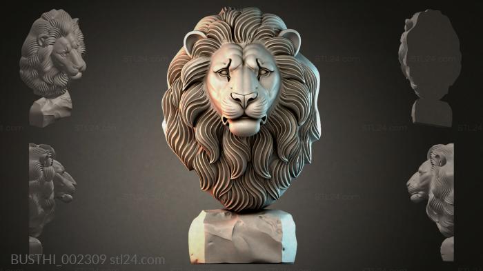 BUSTHI_002309 3d STL model