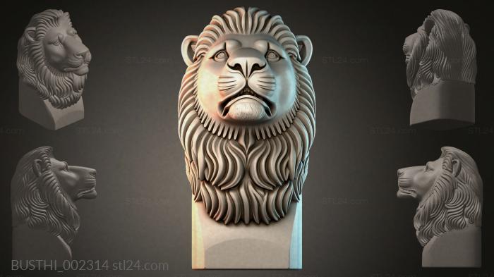 BUSTHI_002314 3d STL model