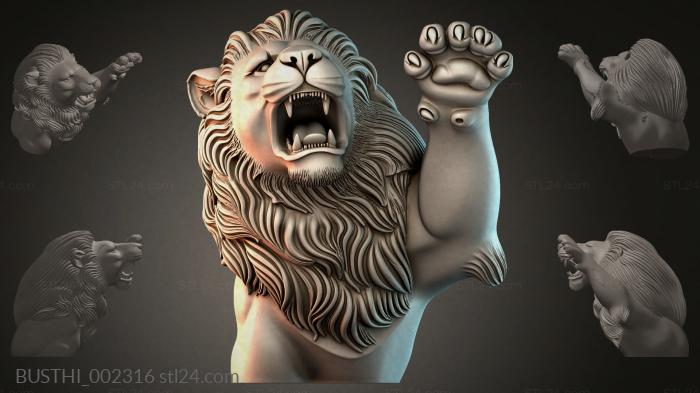 BUSTHI_002316 3d STL model