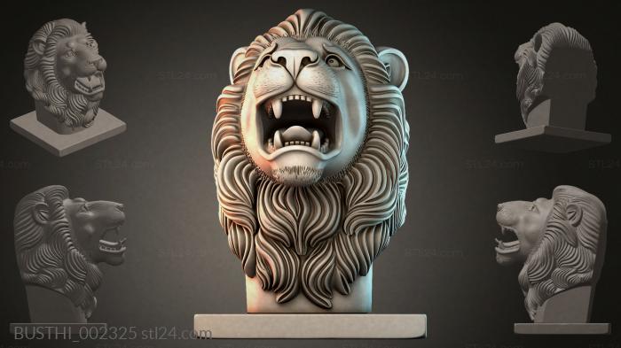 BUSTHI_002325 3d STL model