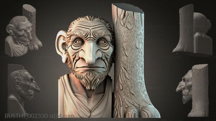 BUSTHI_002330 3d STL model