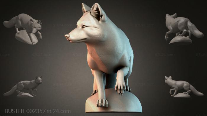 BUSTHI_002357 3d STL model