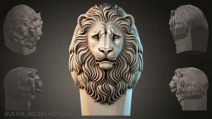 BUSTHI_002365 3d STL model