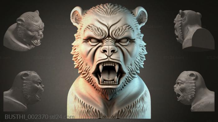 BUSTHI_002370 3d STL model