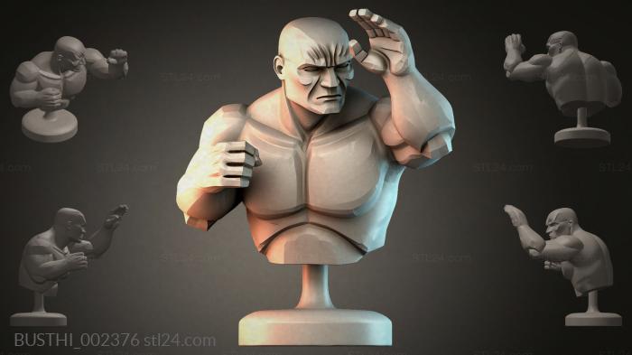 BUSTHI_002376 3d STL model