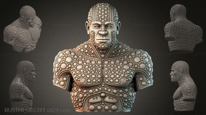 BUSTHI_002391 3d STL model