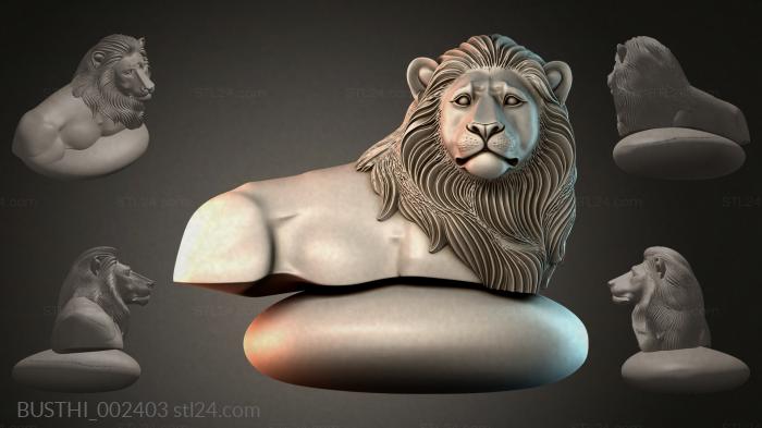 BUSTHI_002403 3d STL model