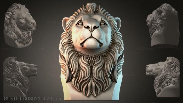 BUSTHI_003021 3d STL model