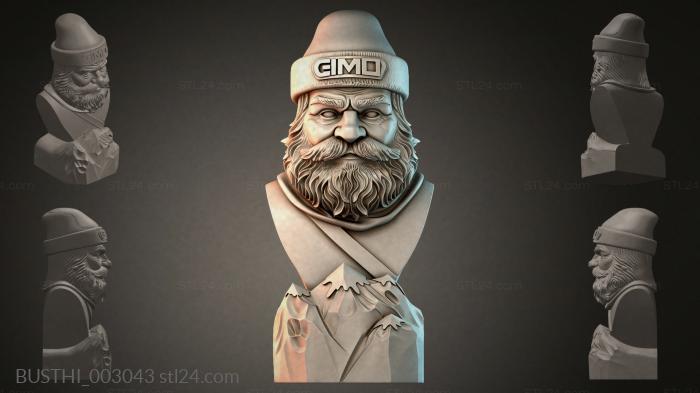 BUSTHI_003043 3d STL model