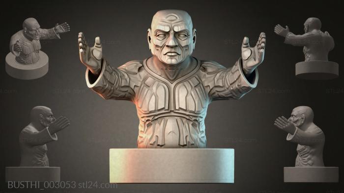 BUSTHI_003053 3d STL model