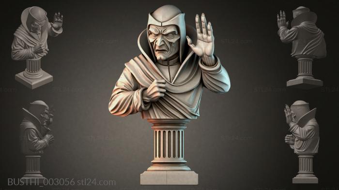 BUSTHI_003056 3d STL model