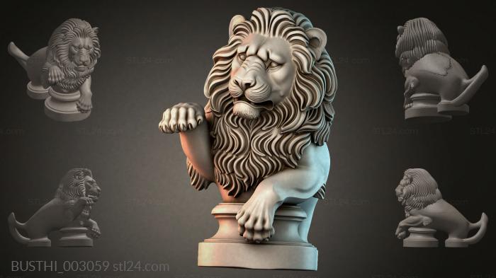 BUSTHI_003059 3d STL model