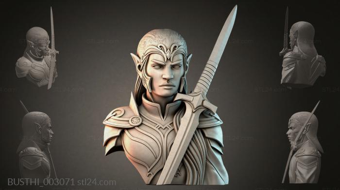 BUSTHI_003071 3d STL model