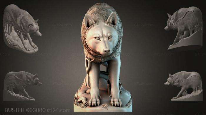 BUSTHI_003080 3d STL model