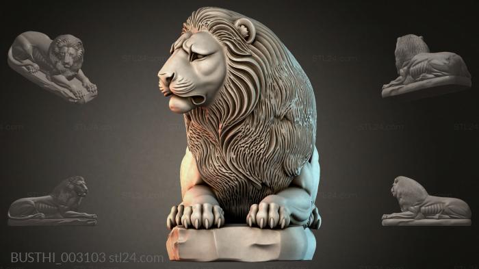 BUSTHI_003103 3d STL model
