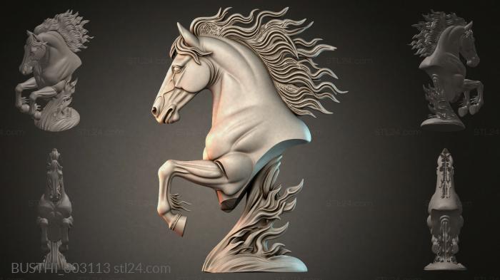 BUSTHI_003113 3d STL model