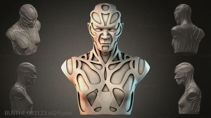 BUSTHI_003123 3d STL model