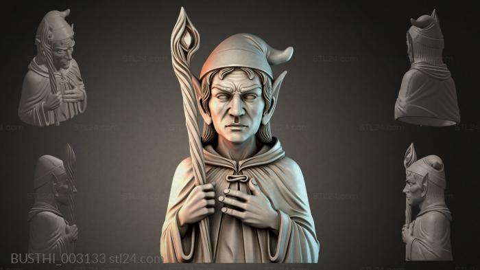 BUSTHI_003133 3d STL model