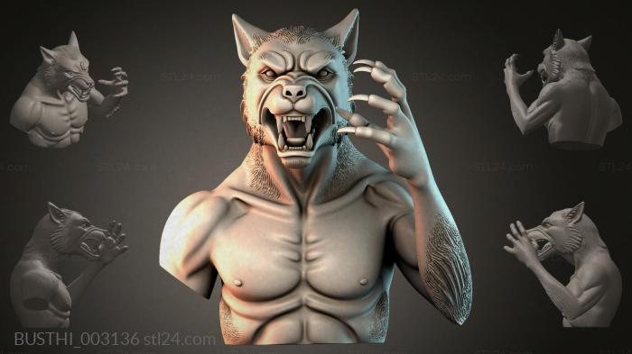 BUSTHI_003136 3d STL model