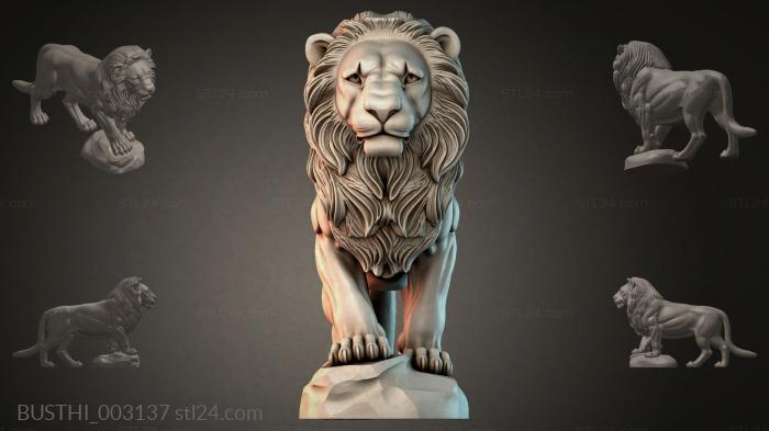 BUSTHI_003137 3d STL model